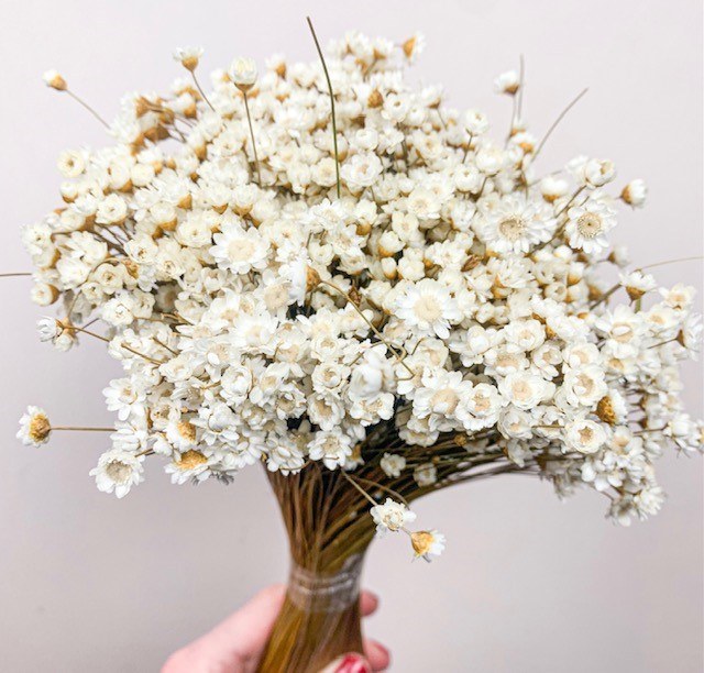 Picture of Dried Glixia Natural 100g